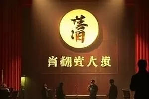 盐湖回声封面：盐壳地表上反光的水面与远处孤影